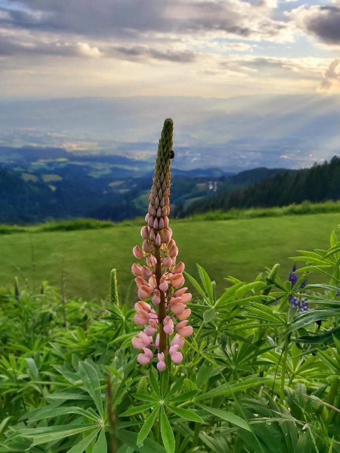 Korlape Apartman 4.2 Wolfsberg Exteriér fotografie