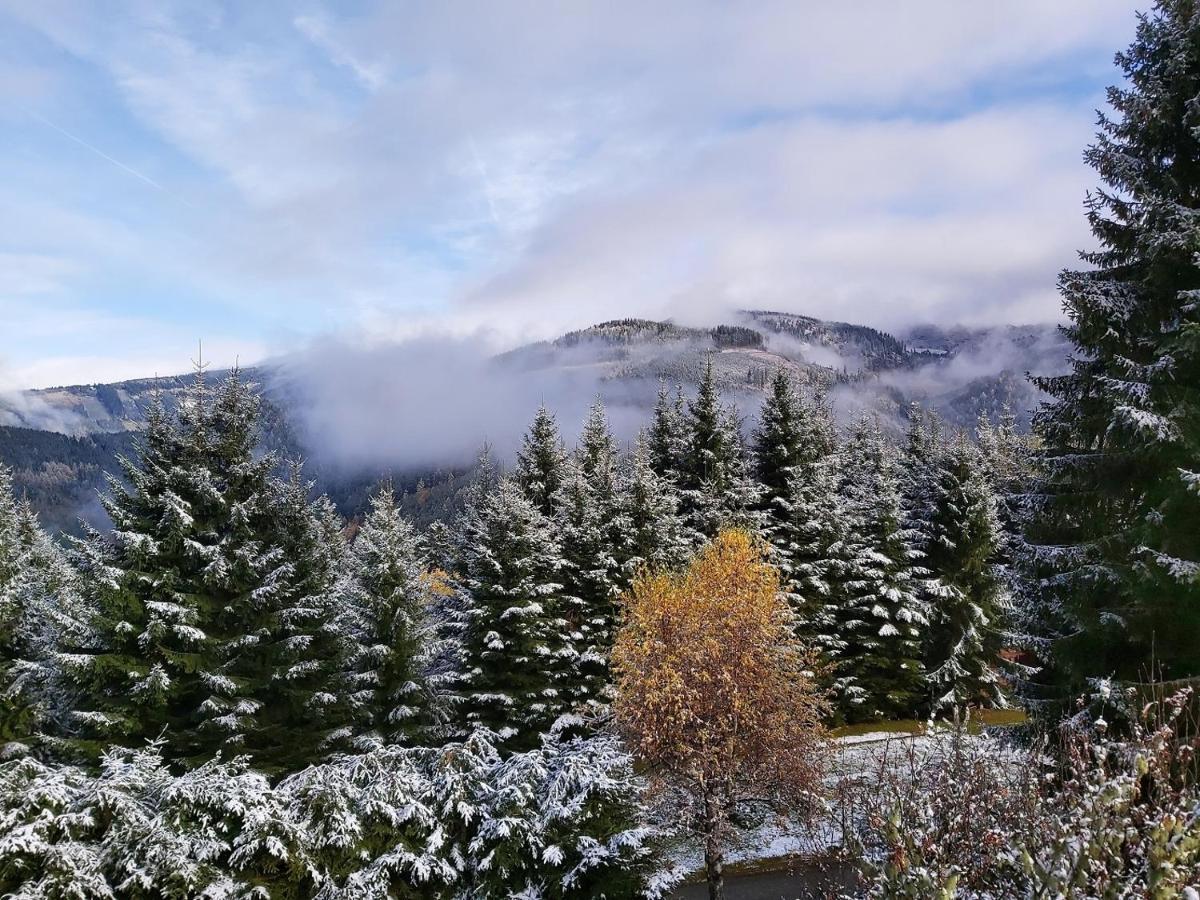 Korlape Apartman 4.2 Wolfsberg Exteriér fotografie