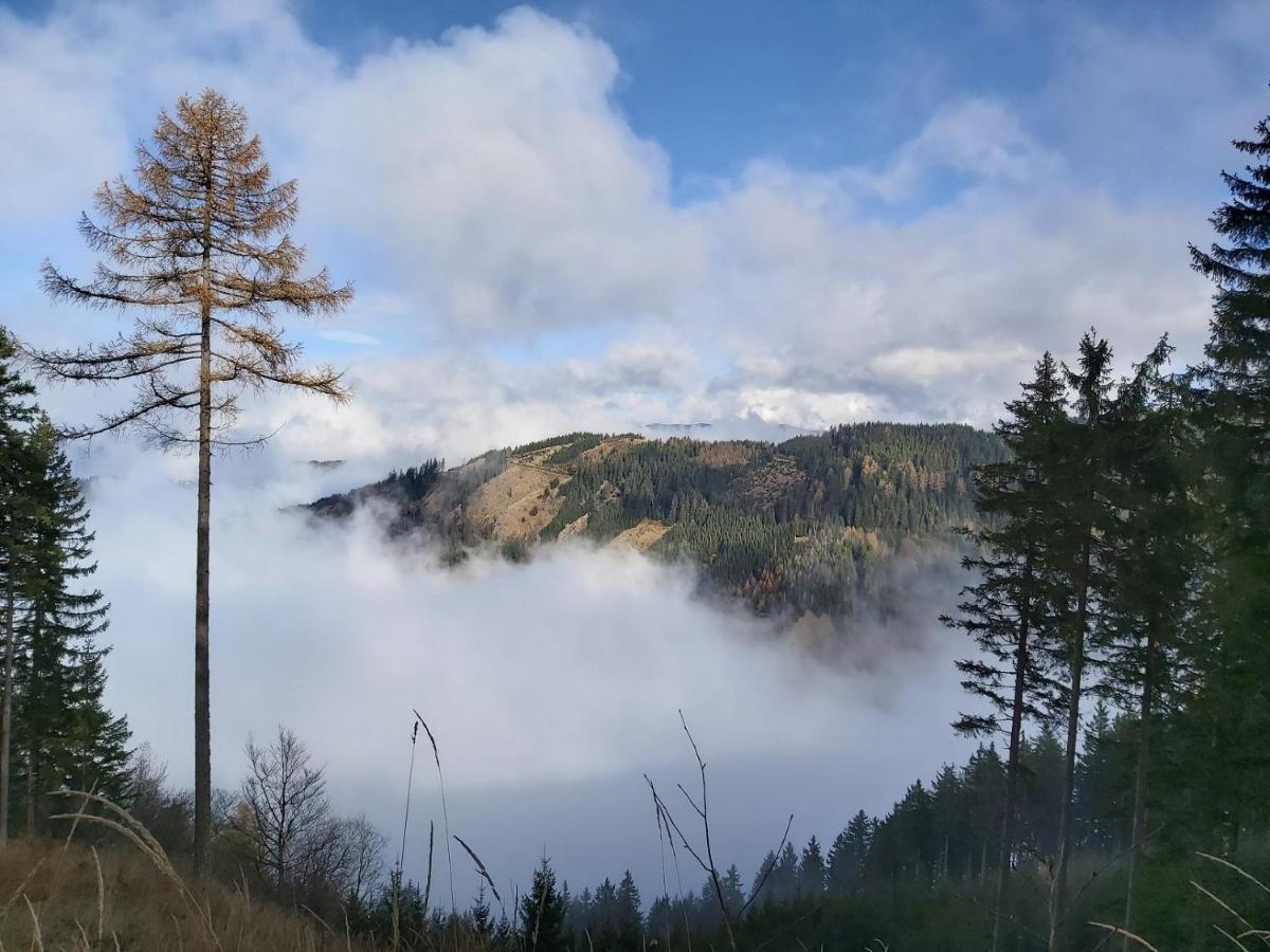 Korlape Apartman 4.2 Wolfsberg Exteriér fotografie